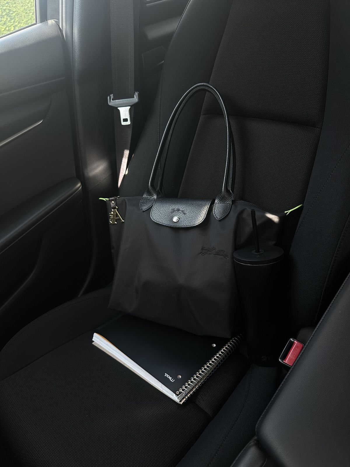 Longchamp classic Black on Black