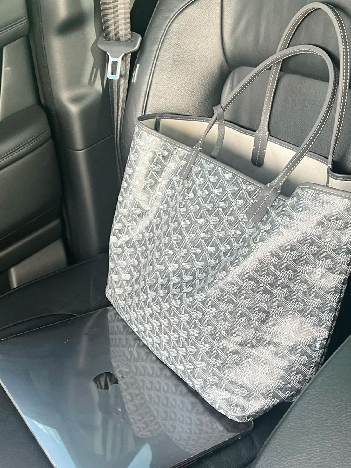Goyard Gray - Image 3